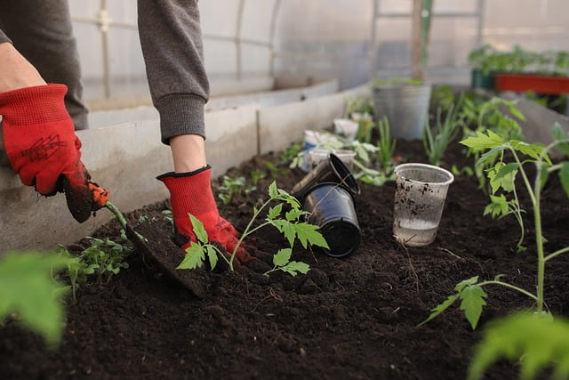 Tuinman in Eindhoven